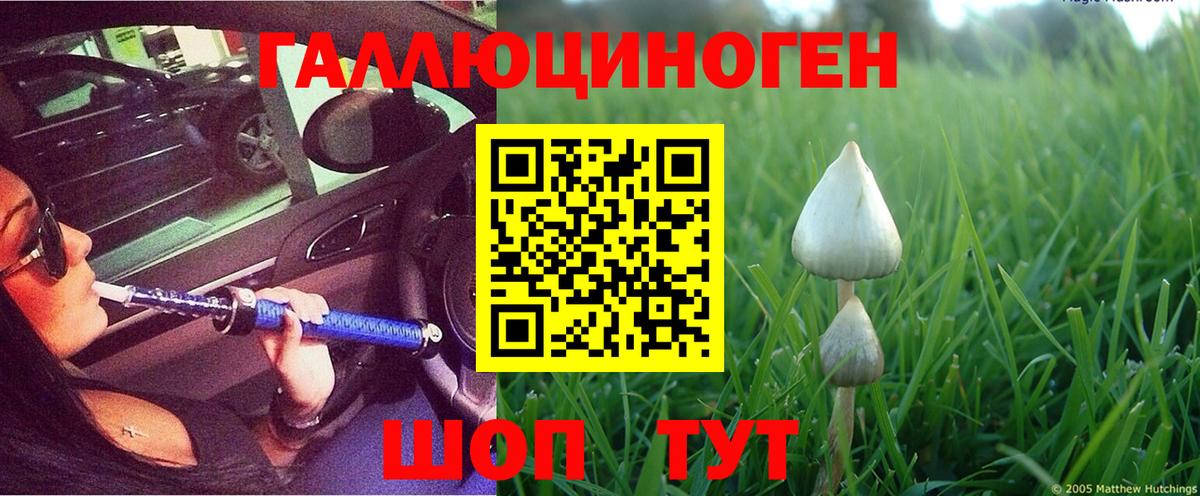 наркошоп  Галлюциногенные грибы Psilocybine cubensis  Псилоцибиновые грибы Psilocybine cubensis  Вход с VPN  Тихорецк 